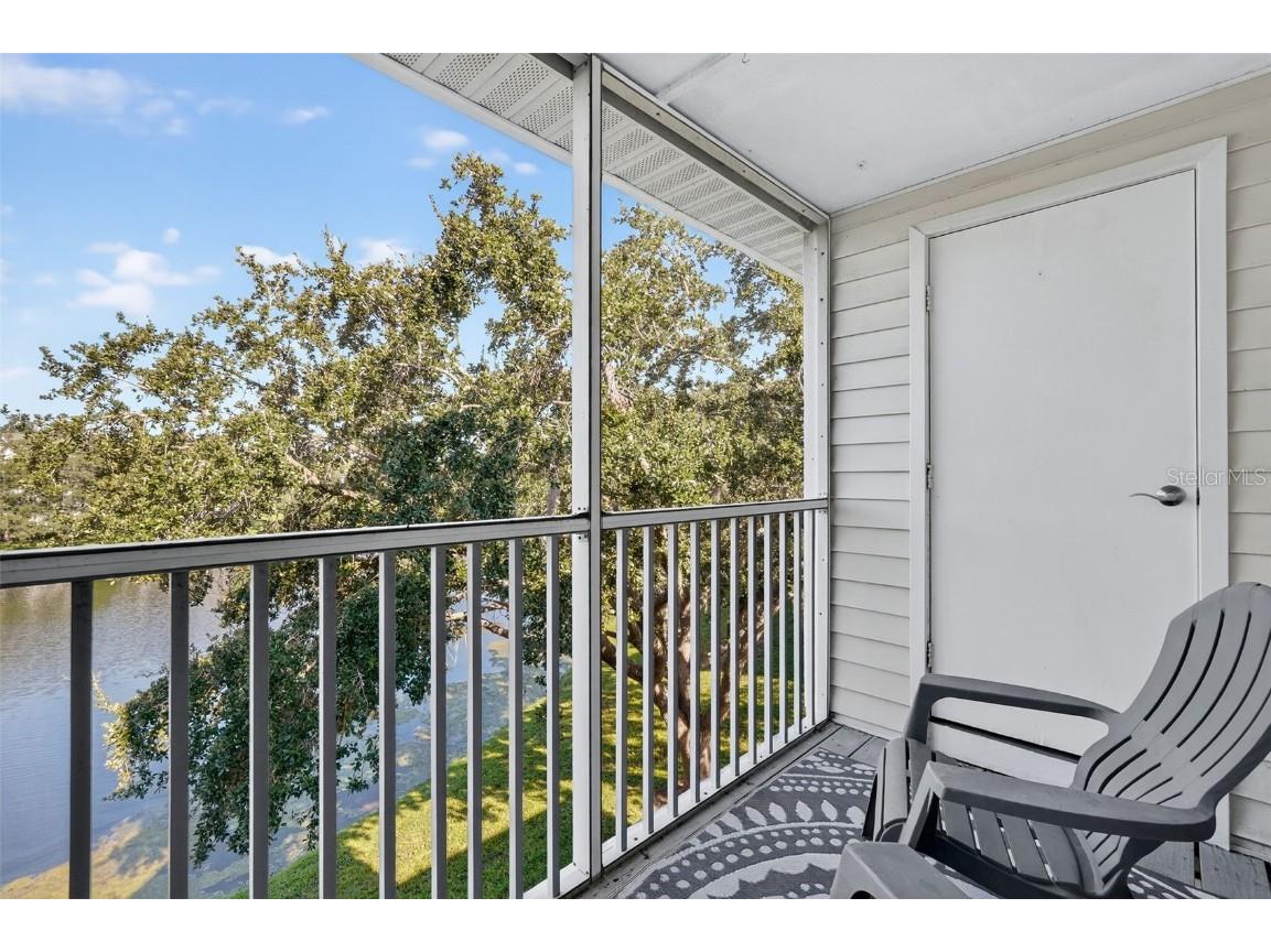 3300 Haviland Court #303 Palm Harbor FL 34684 TB8429828 image28