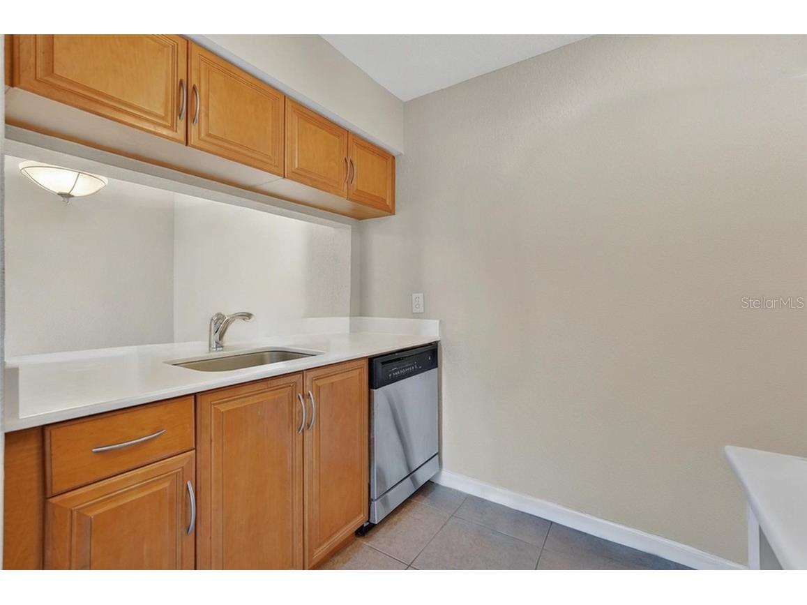 3300 Haviland Court #303 Palm Harbor FL 34684 TB8429828 image29