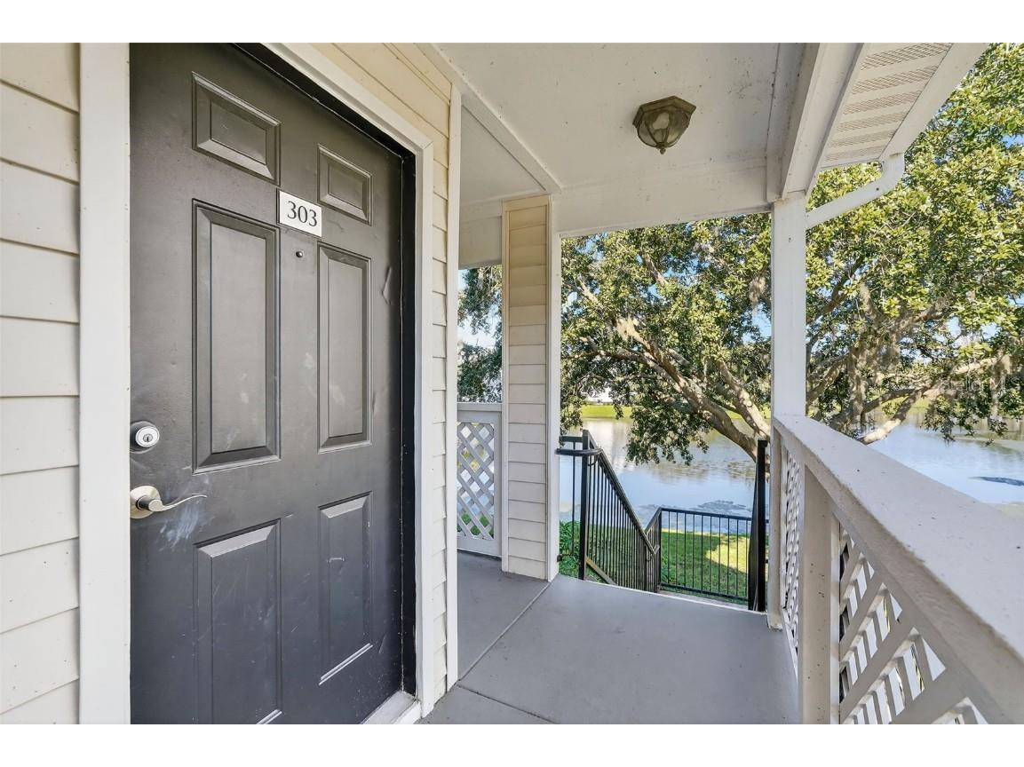 3300 Haviland Court #303 Palm Harbor FL 34684 TB8429828 image3