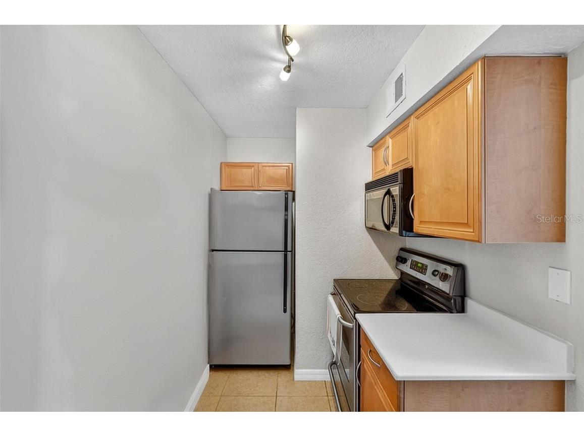 3300 Haviland Court #303 Palm Harbor FL 34684 TB8429828 image31