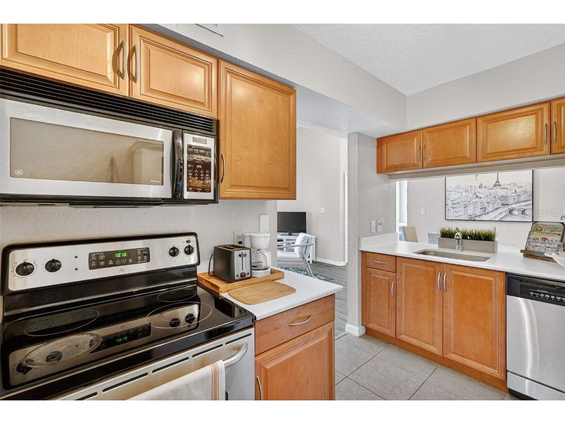 3300 Haviland Court #303 Palm Harbor FL 34684 TB8429828 image33