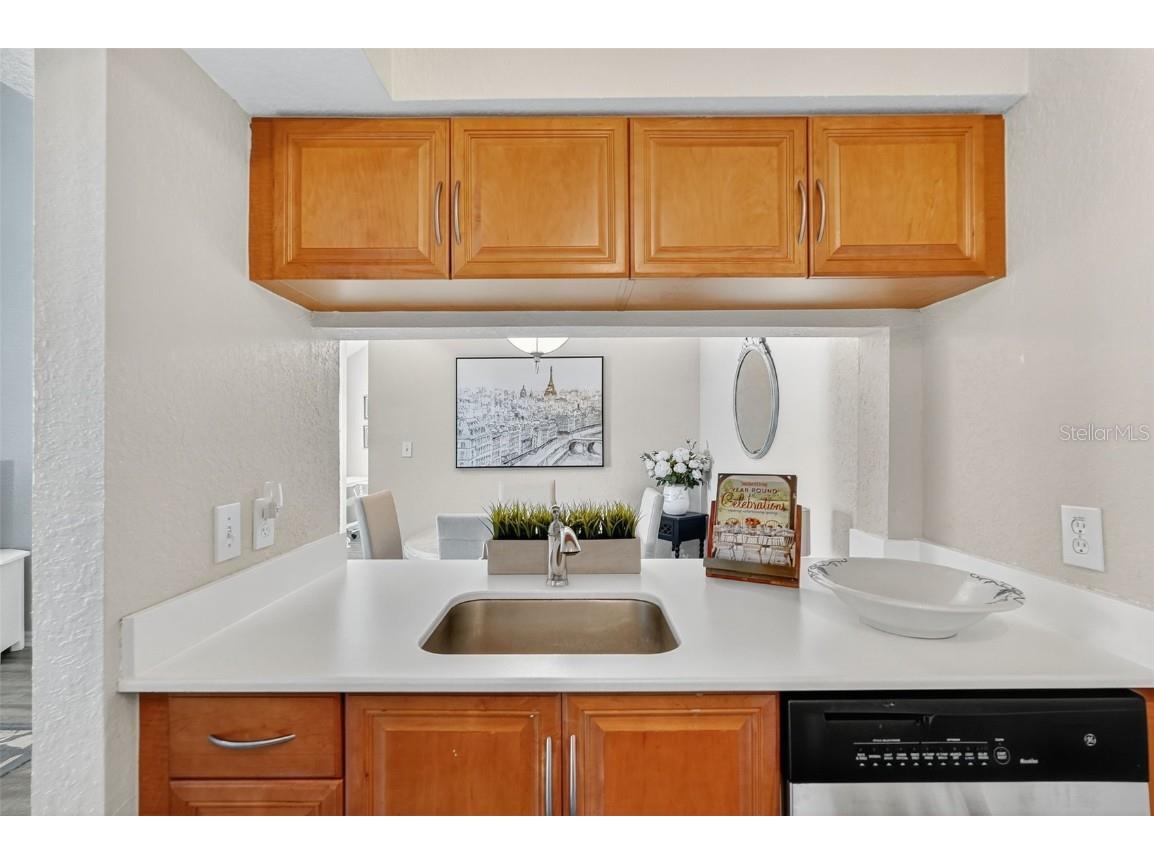 3300 Haviland Court #303 Palm Harbor FL 34684 TB8429828 image34