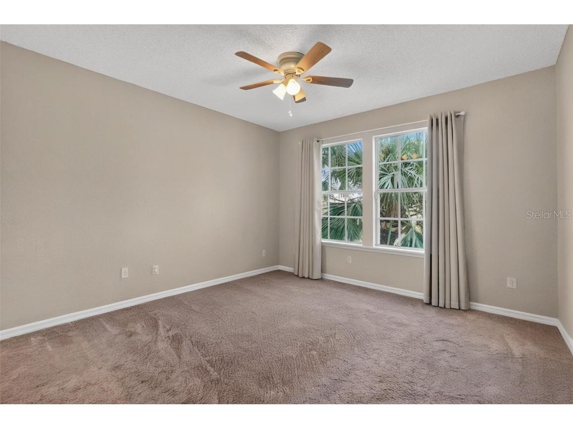 3300 Haviland Court #303 Palm Harbor FL 34684 TB8429828 image36