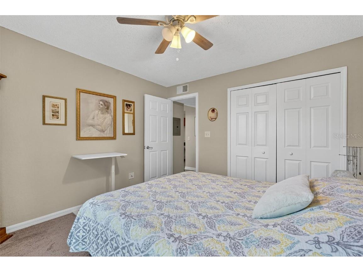 3300 Haviland Court #303 Palm Harbor FL 34684 TB8429828 image39