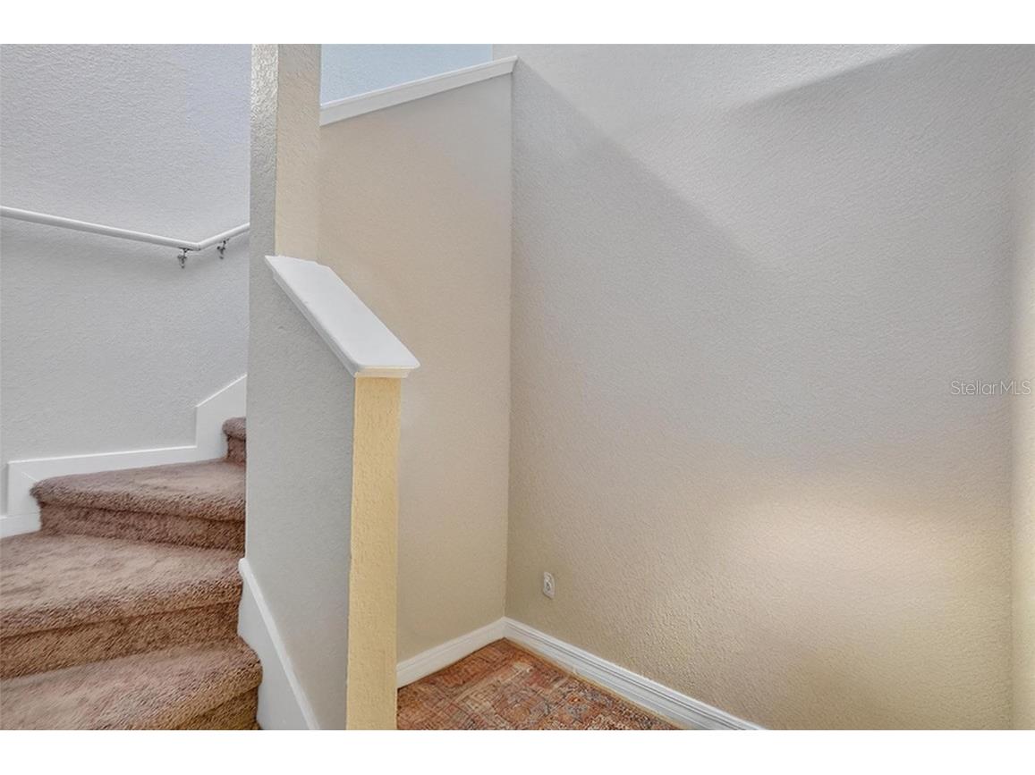 3300 Haviland Court #303 Palm Harbor FL 34684 TB8429828 image4