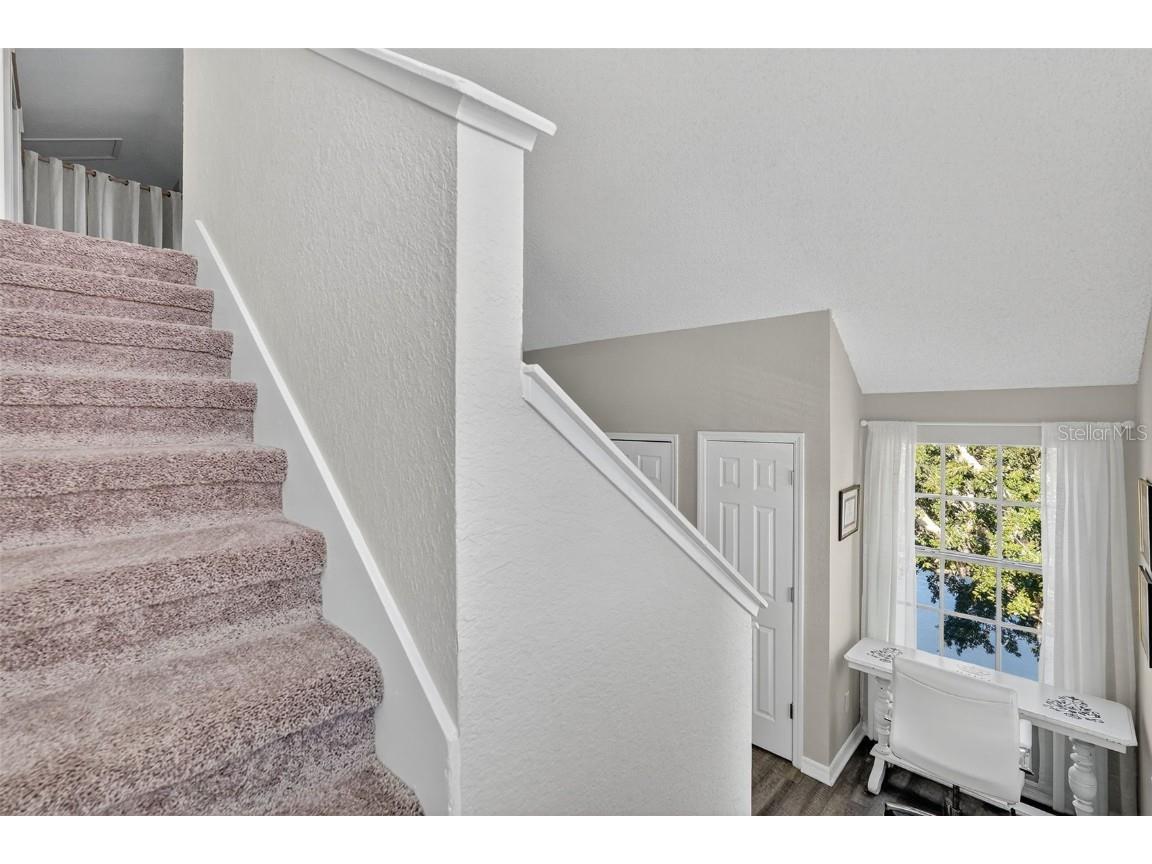 3300 Haviland Court #303 Palm Harbor FL 34684 TB8429828 image41