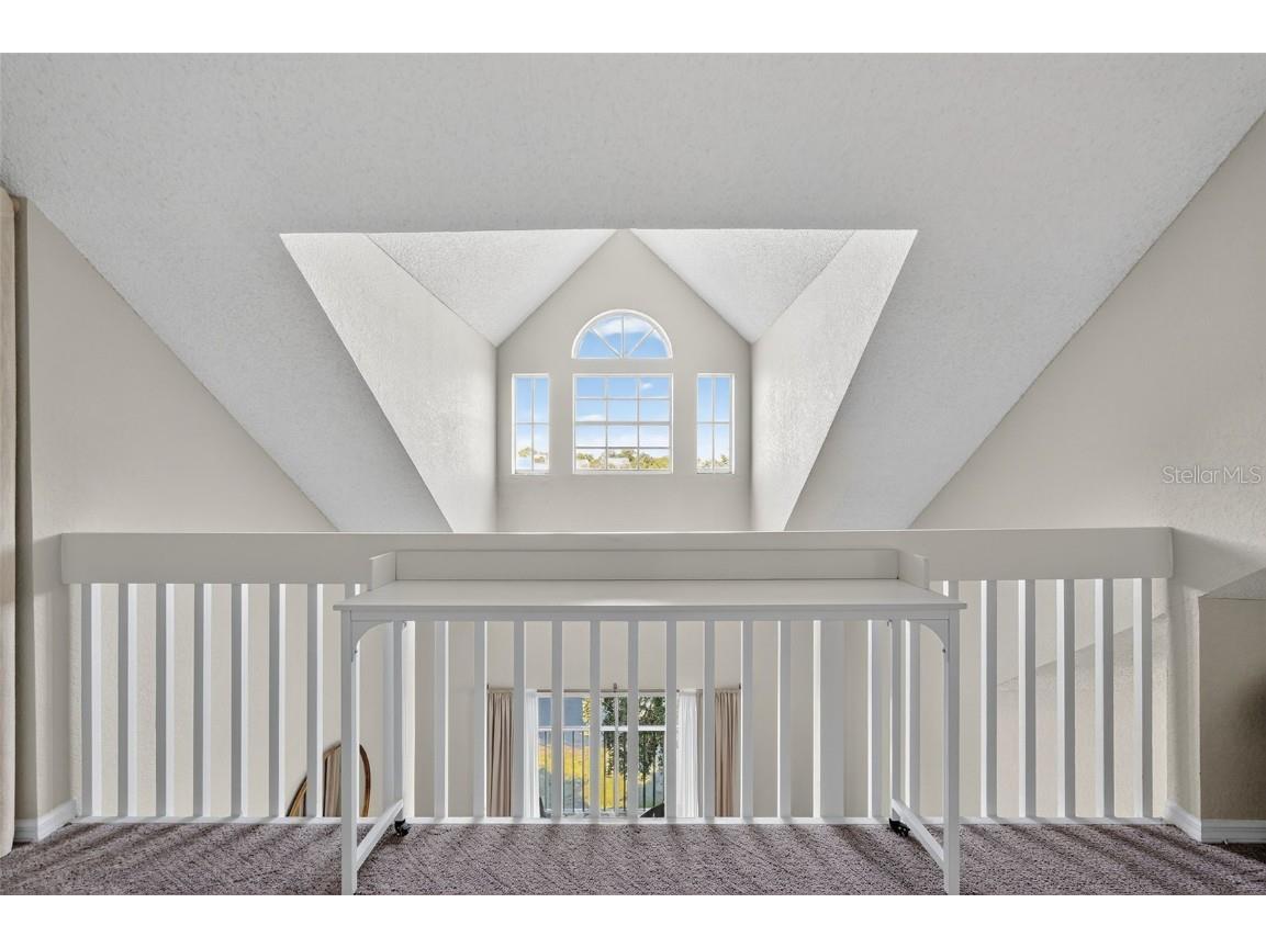 3300 Haviland Court #303 Palm Harbor FL 34684 TB8429828 image49