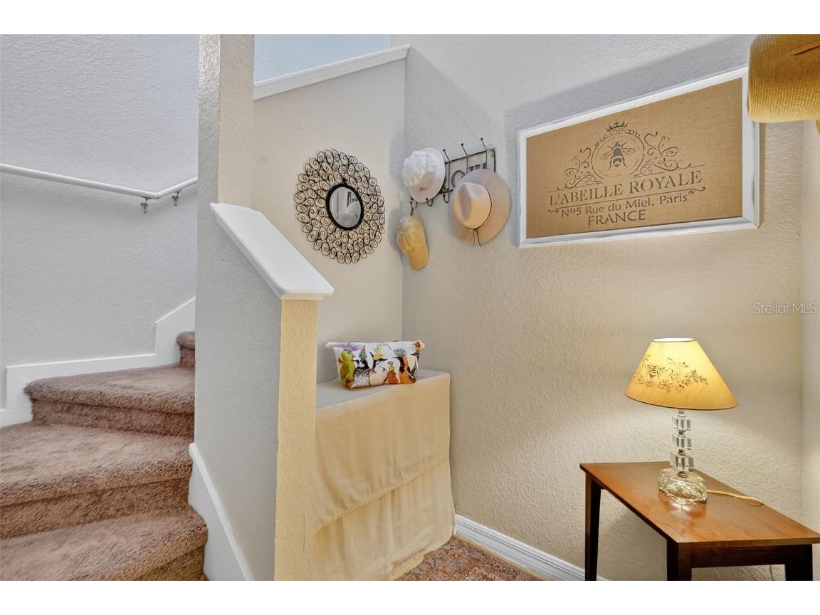 3300 Haviland Court #303 Palm Harbor FL 34684 TB8429828 image5