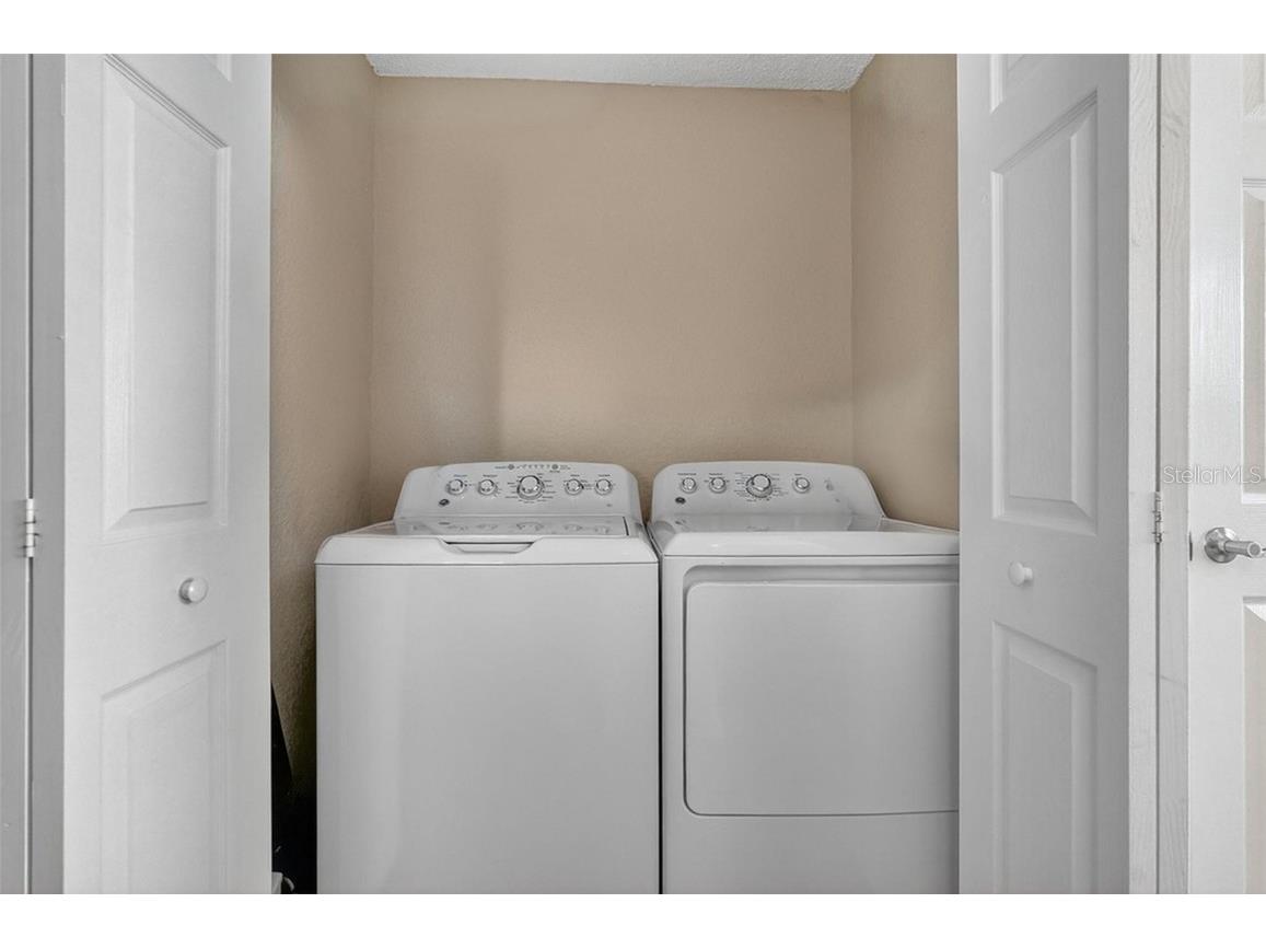 3300 Haviland Court #303 Palm Harbor FL 34684 TB8429828 image50