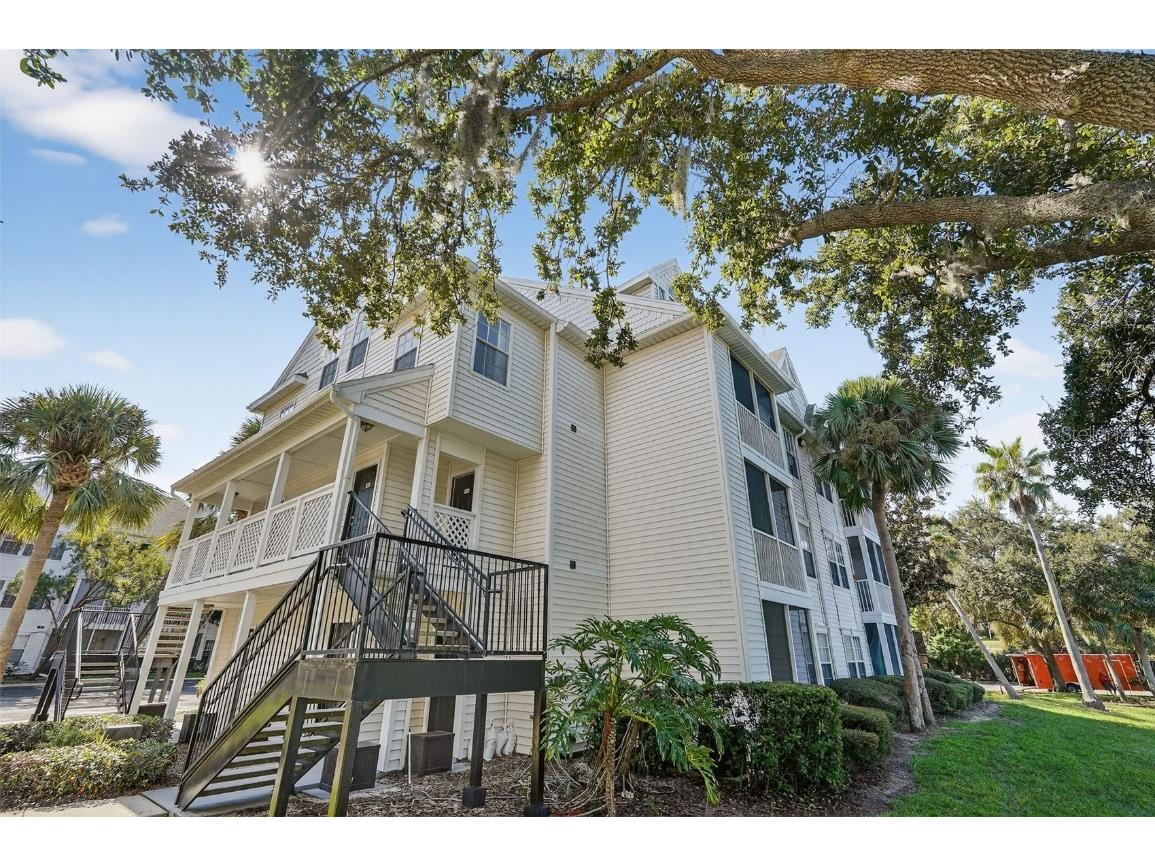 3300 Haviland Court #303 Palm Harbor FL 34684 TB8429828 image52