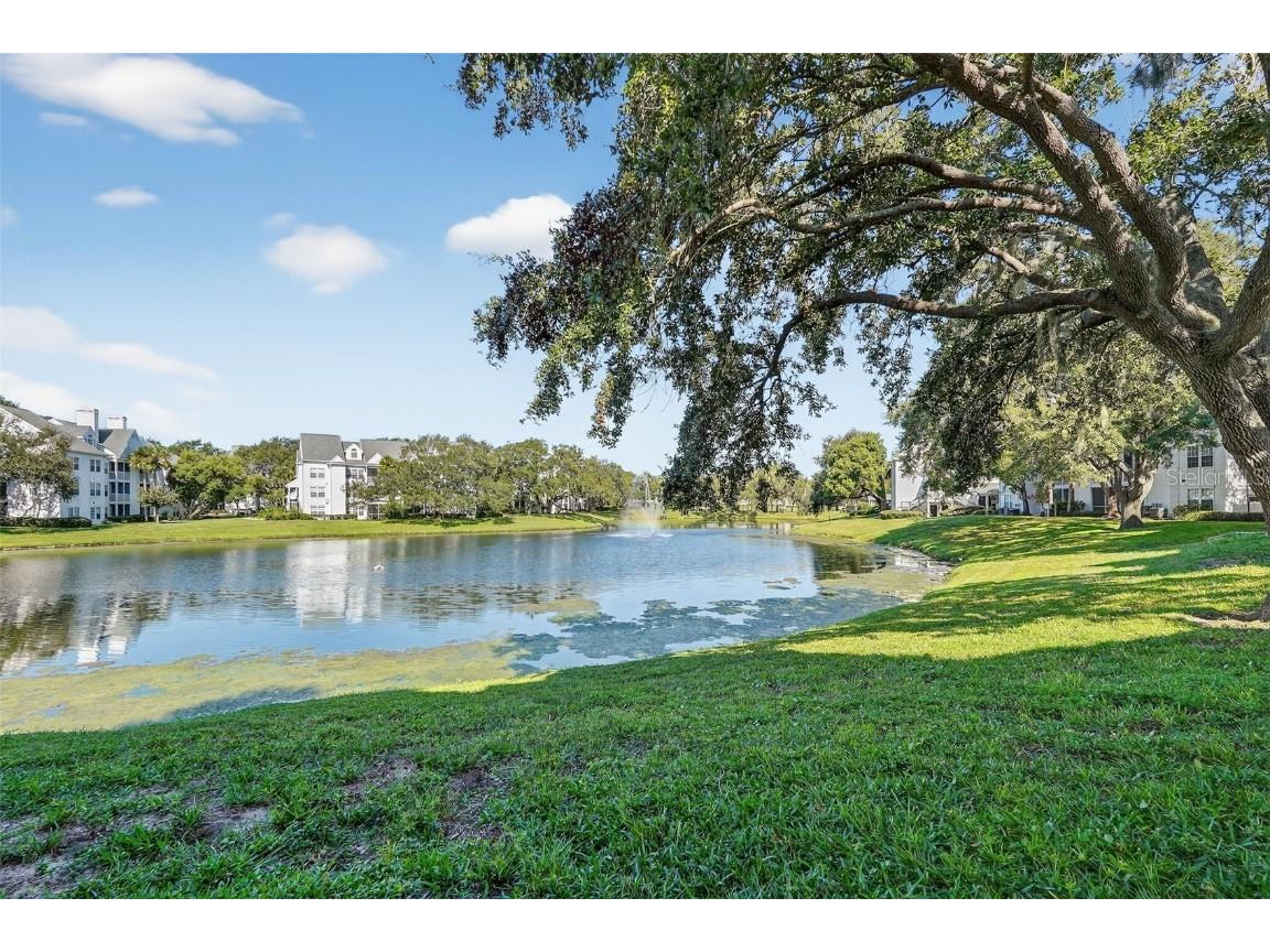 3300 Haviland Court #303 Palm Harbor FL 34684 TB8429828 image53