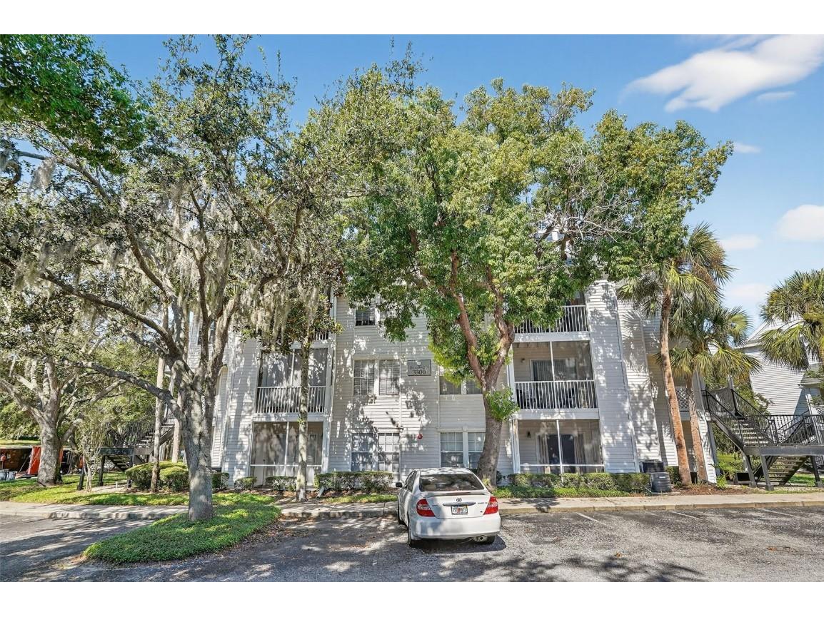 3300 Haviland Court #303 Palm Harbor FL 34684 TB8429828 image54