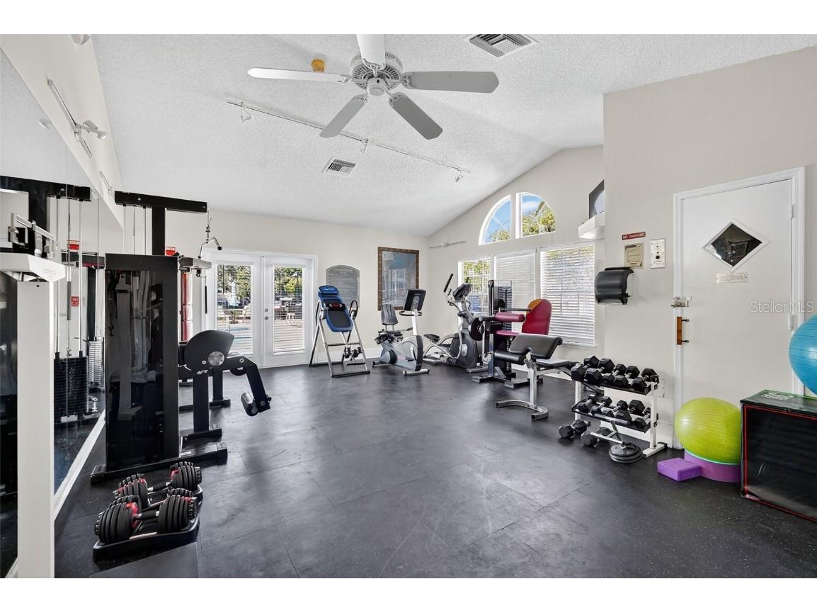 3300 Haviland Court #303 Palm Harbor FL 34684 TB8429828 image58