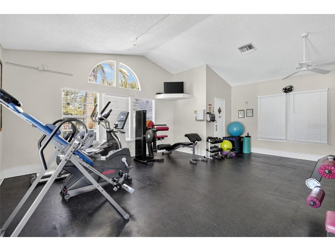 3300 Haviland Court #303 Palm Harbor FL 34684 TB8429828 image59