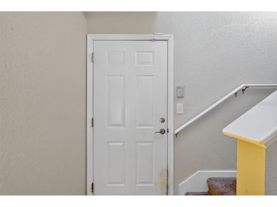 3300 Haviland Court #303 Palm Harbor FL 34684 TB8429828 image6