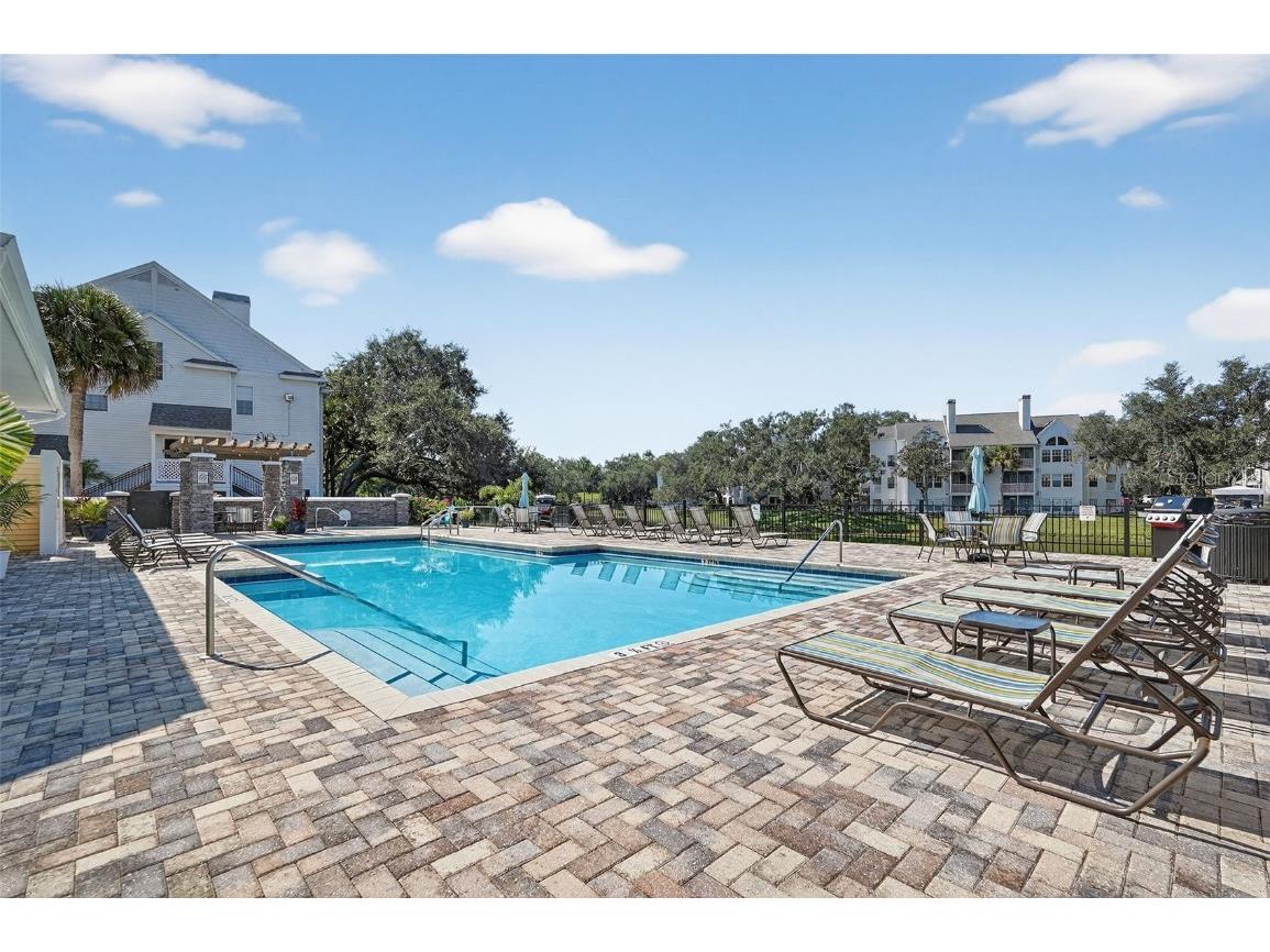 3300 Haviland Court #303 Palm Harbor FL 34684 TB8429828 image63