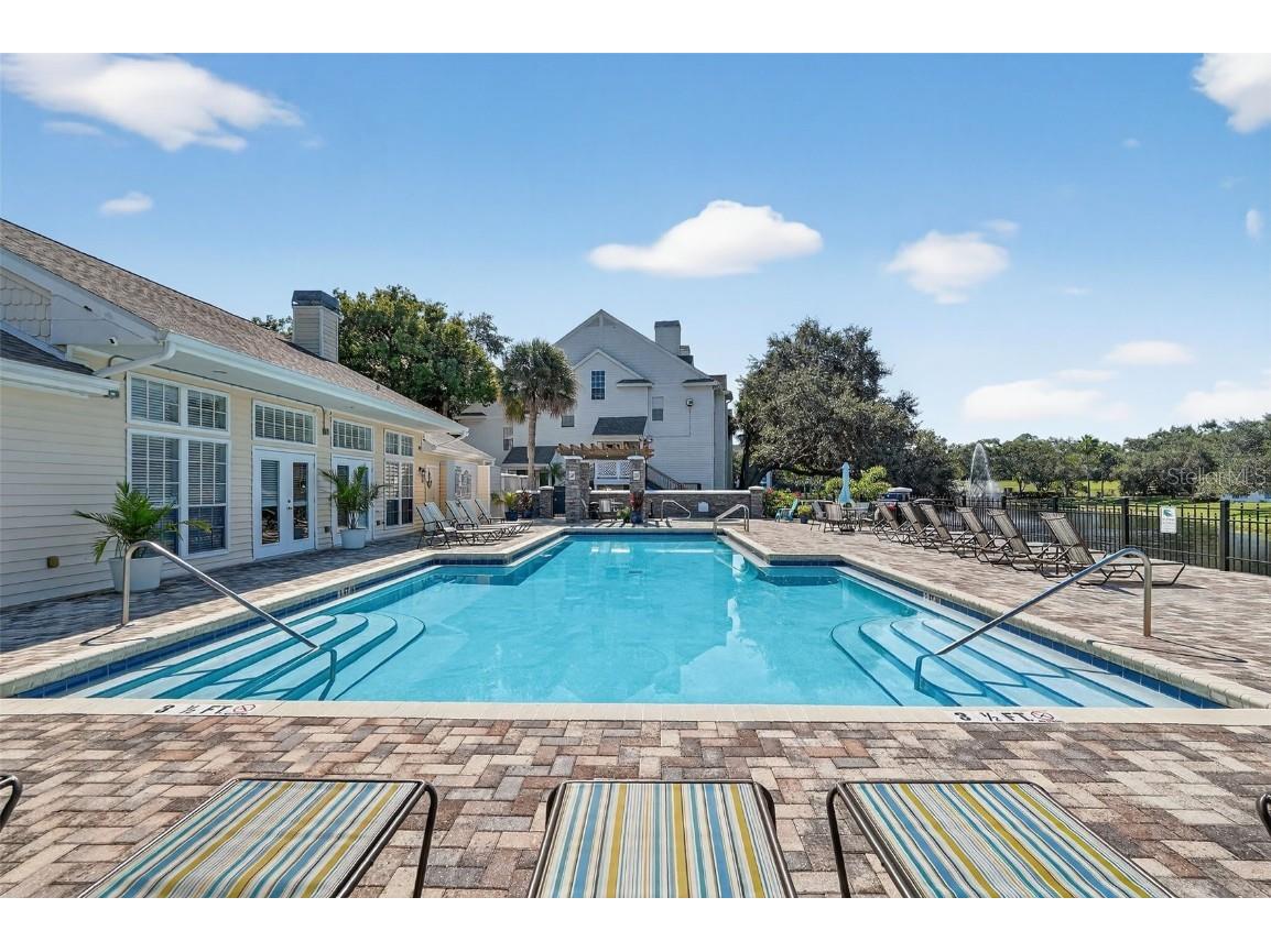 3300 Haviland Court #303 Palm Harbor FL 34684 TB8429828 image65