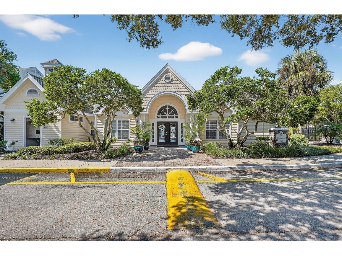 3300 Haviland Court #303 Palm Harbor FL 34684 TB8429828 image68