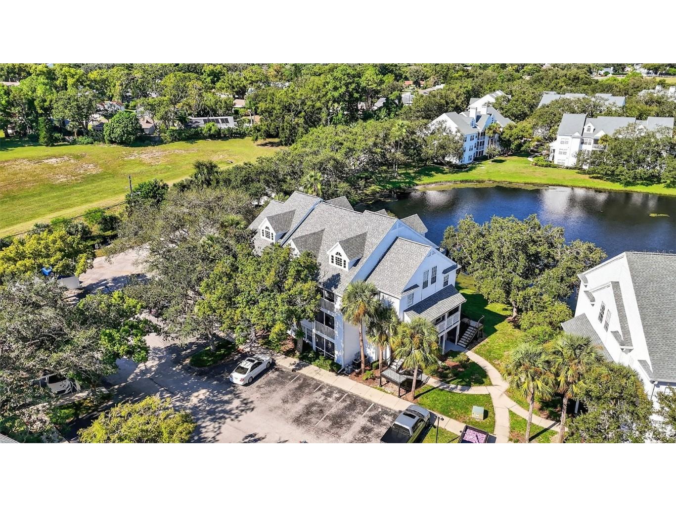 3300 Haviland Court #303 Palm Harbor FL 34684 TB8429828 image69