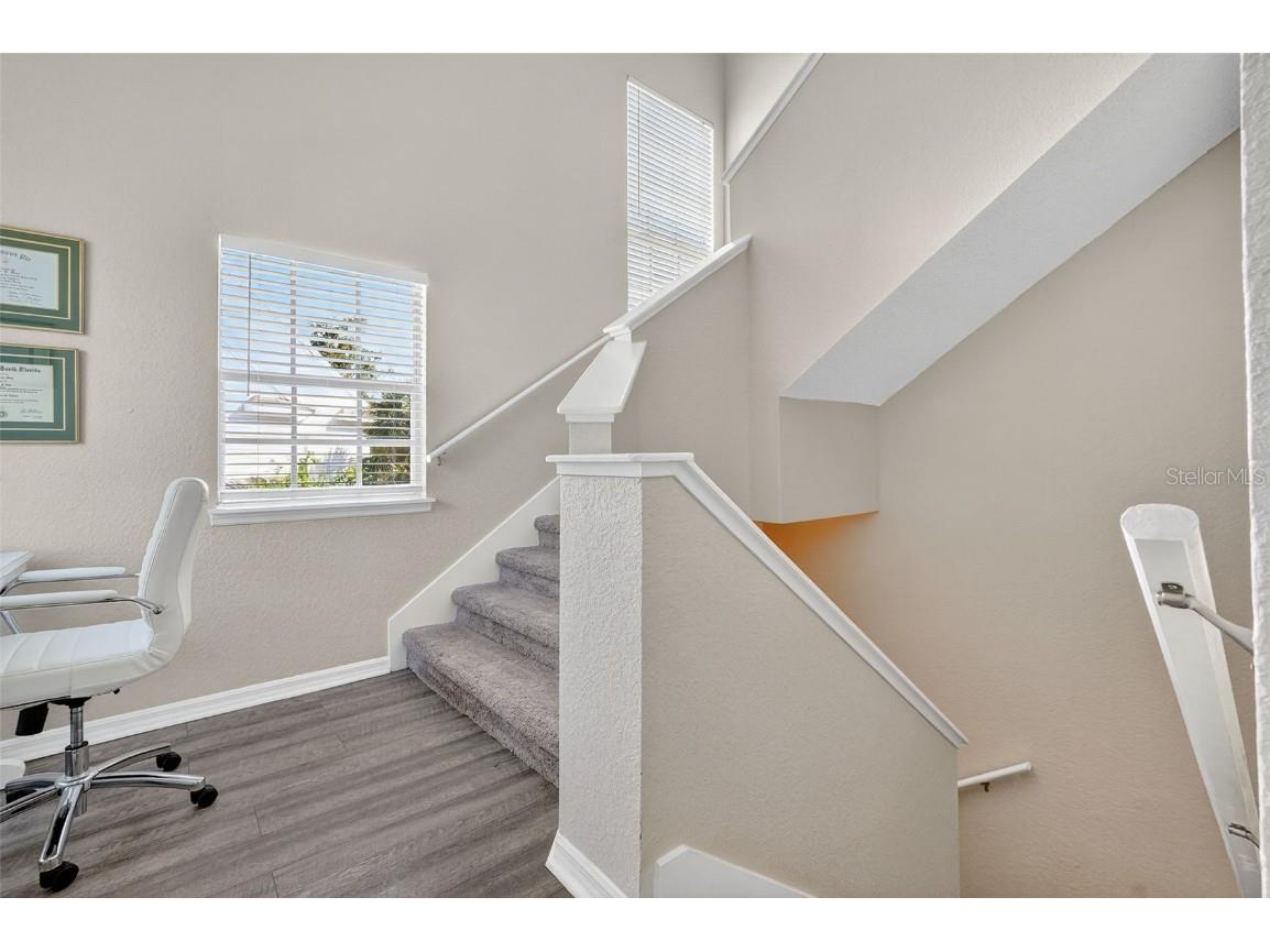 3300 Haviland Court #303 Palm Harbor FL 34684 TB8429828 image7