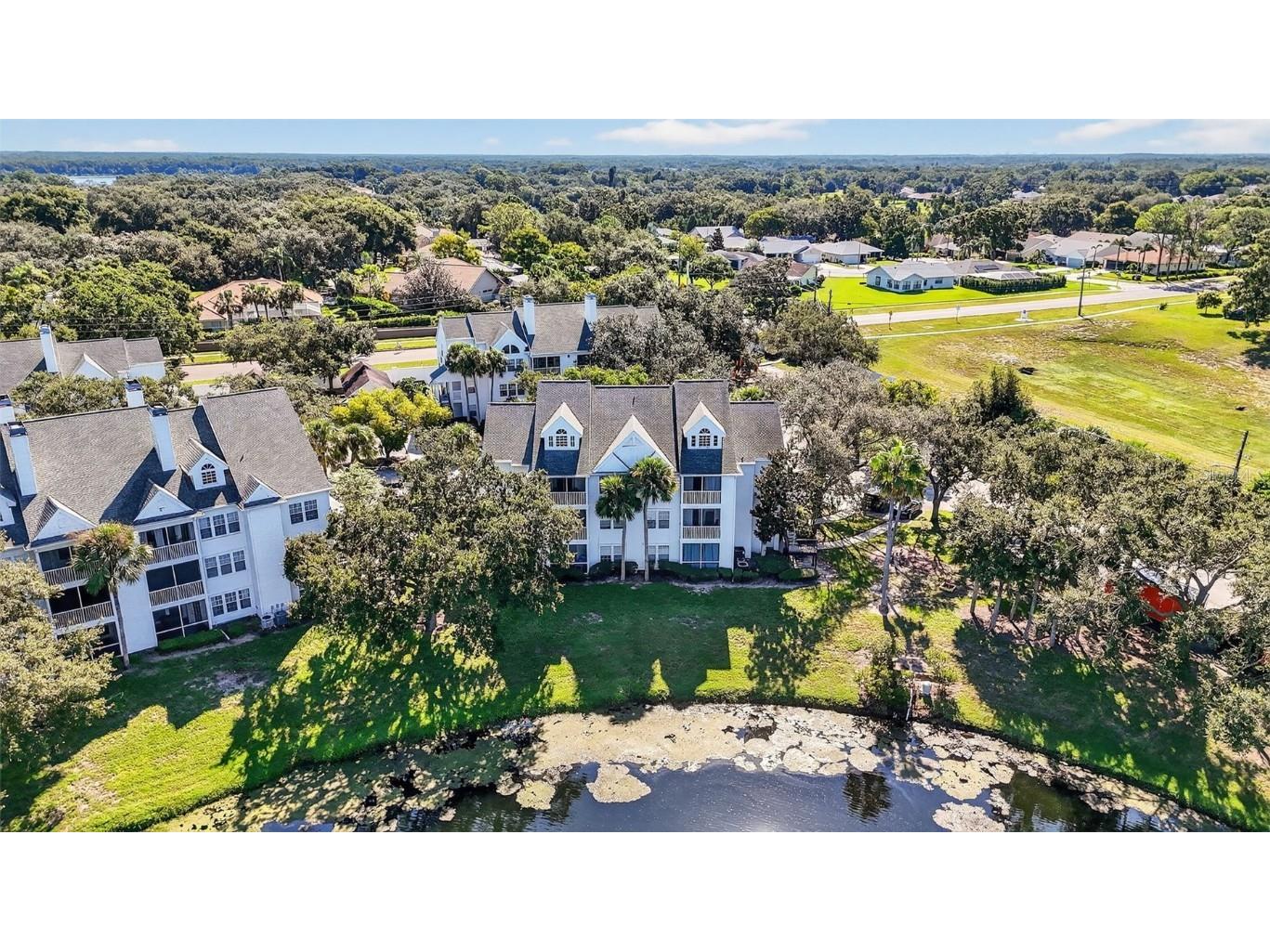 3300 Haviland Court #303 Palm Harbor FL 34684 TB8429828 image70