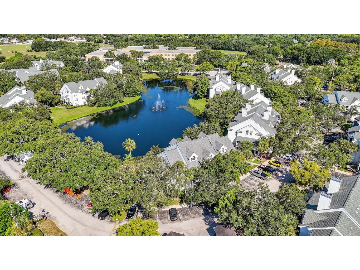 3300 Haviland Court #303 Palm Harbor FL 34684 TB8429828 image71