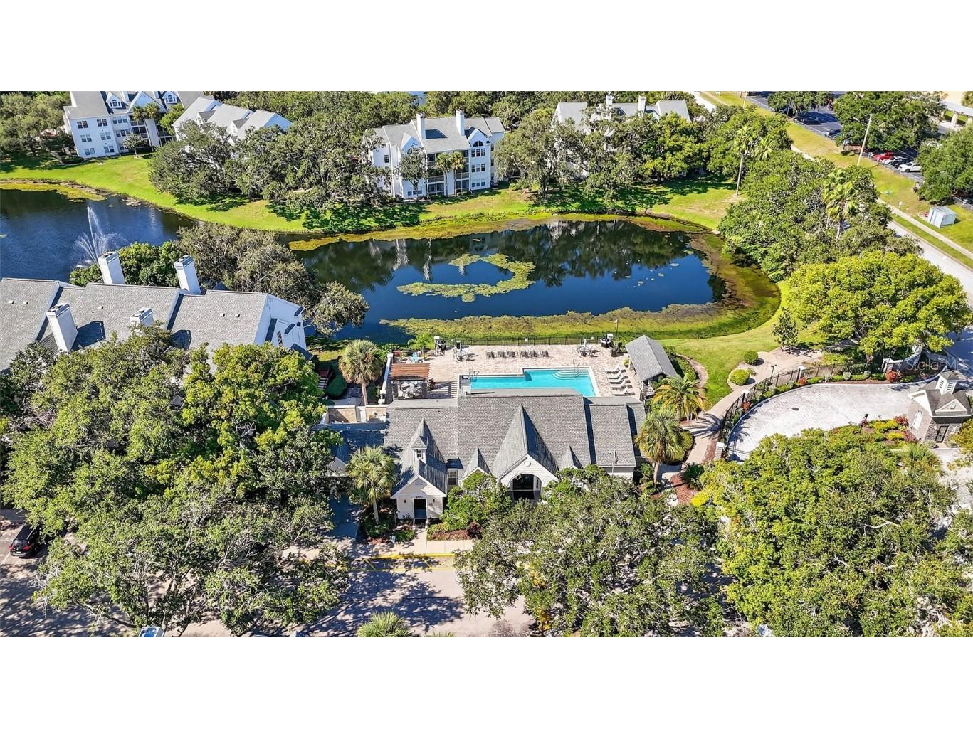 3300 Haviland Court #303 Palm Harbor FL 34684 TB8429828 image74