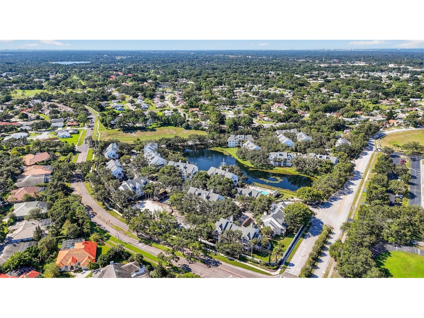 3300 Haviland Court #303 Palm Harbor FL 34684 TB8429828 image77