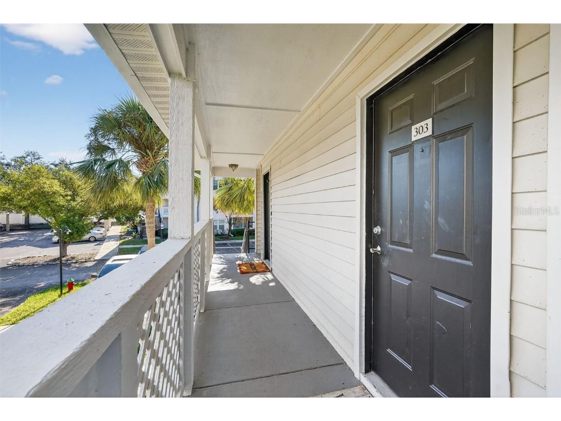 3300 Haviland Court #303 Palm Harbor FL 34684 TB8429828 image79