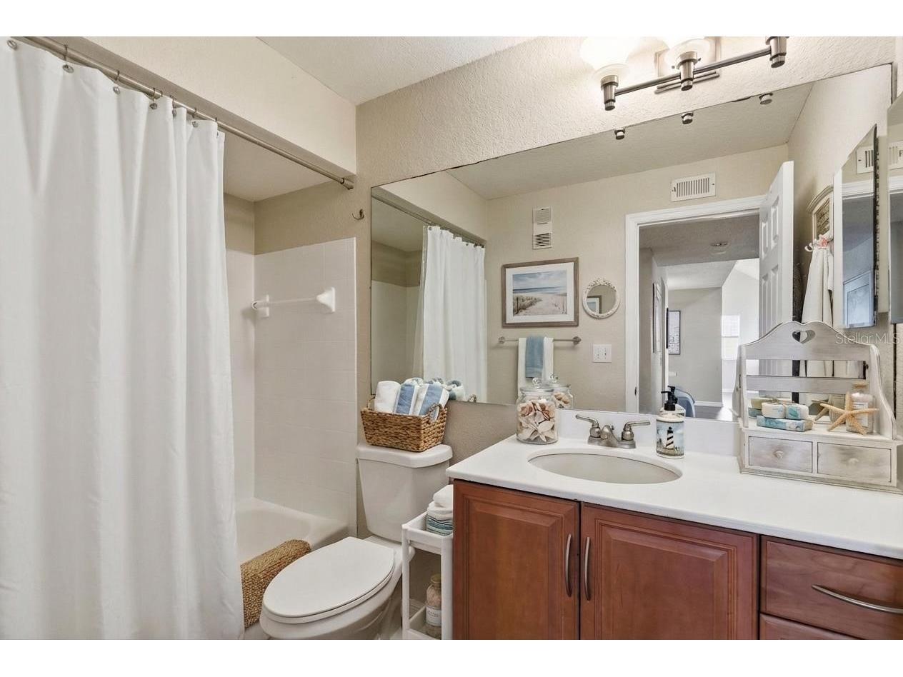 3300 Haviland Court #303 Palm Harbor FL 34684 TB8491692 image19