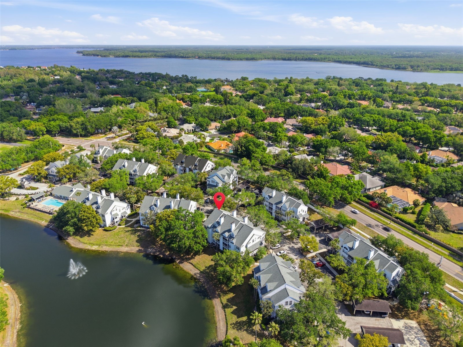 3300 Haviland Court #303 Palm Harbor FL 34684 TB8491692 image2