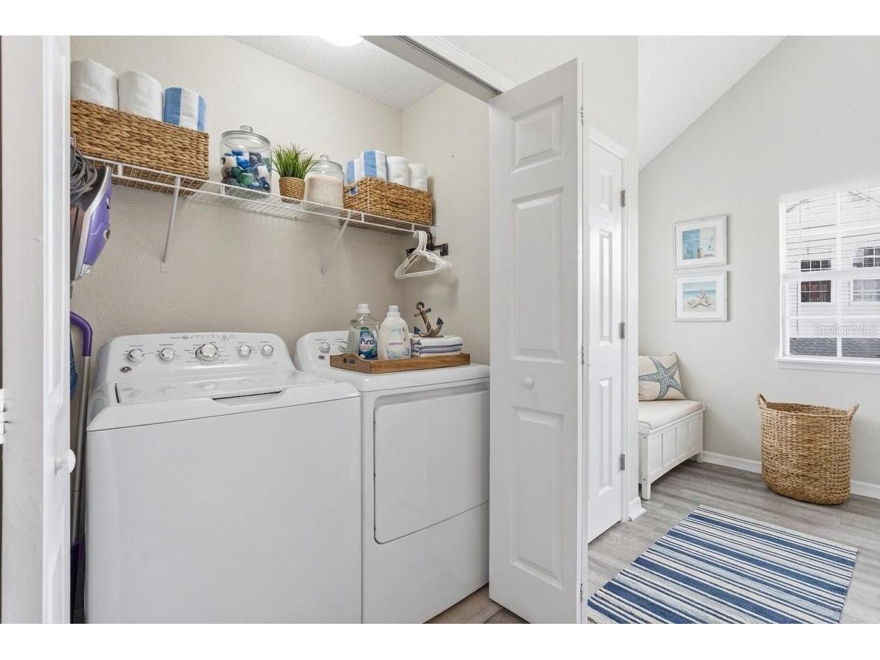 3300 Haviland Court #303 Palm Harbor FL 34684 TB8491692 image22
