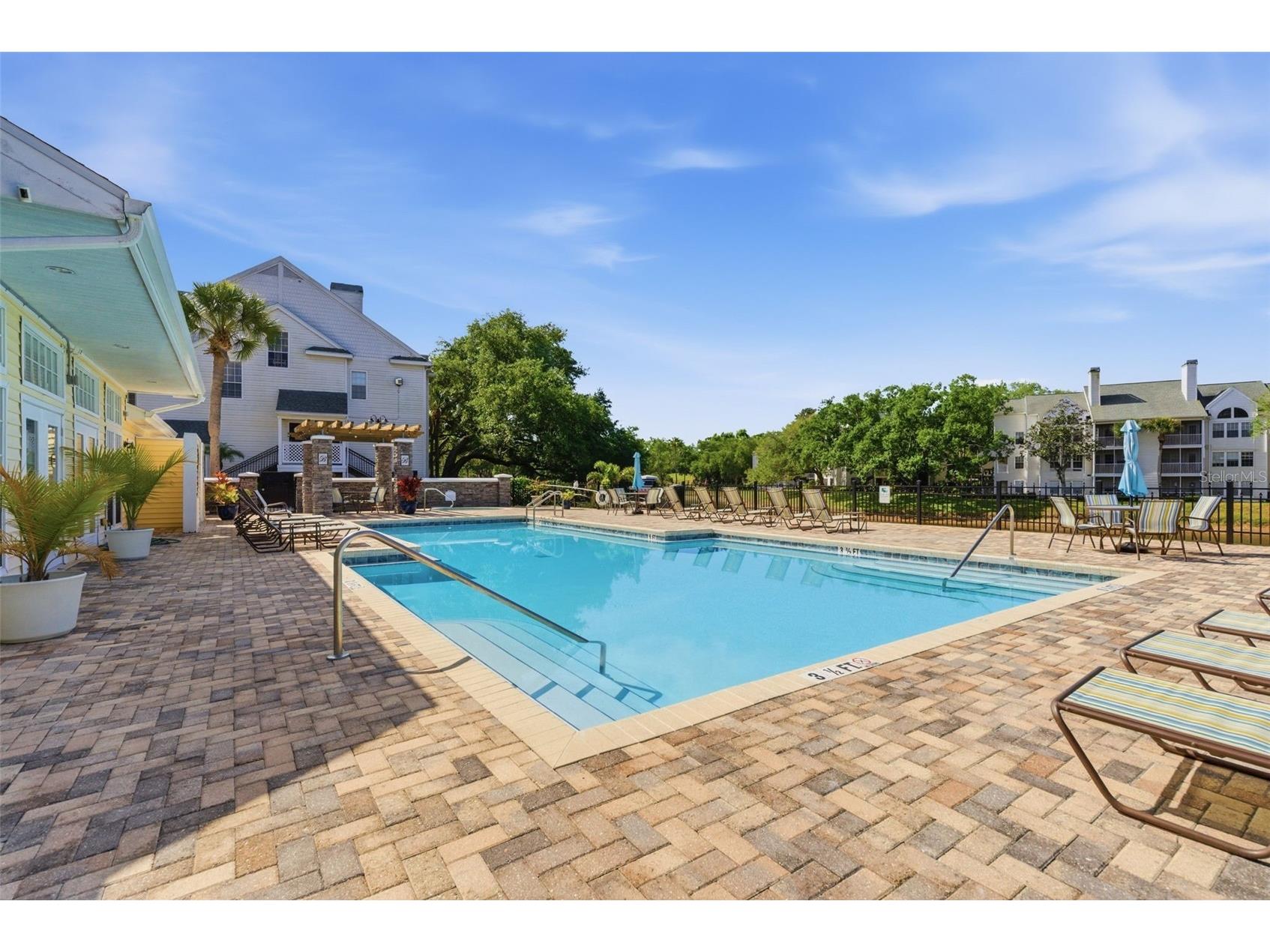3300 Haviland Court #303 Palm Harbor FL 34684 TB8491692 image23
