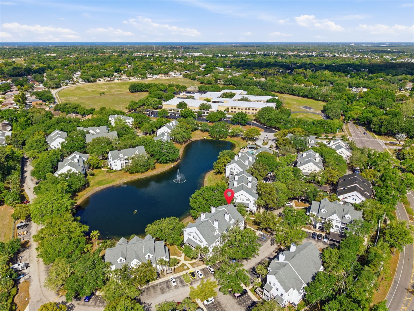 3300 Haviland Court #303 Palm Harbor FL 34684 TB8491692 image32