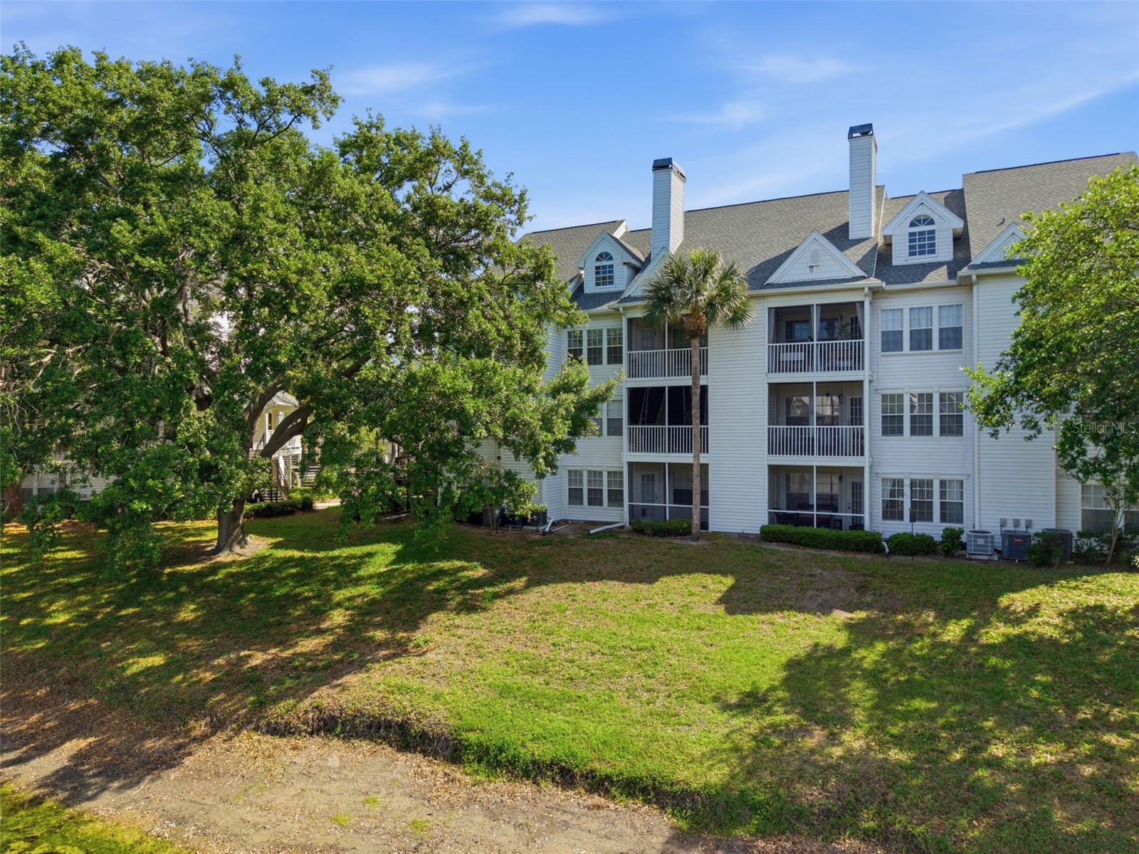 3300 Haviland Court #303 Palm Harbor FL 34684 TB8491692 image33