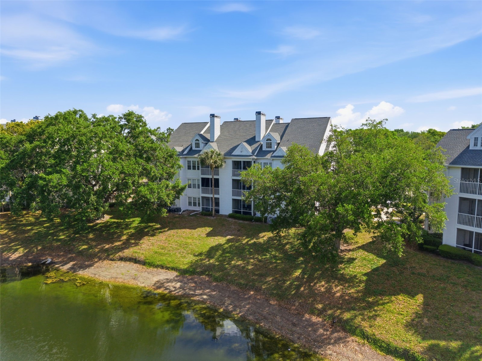 3300 Haviland Court #303 Palm Harbor FL 34684 TB8491692 image34
