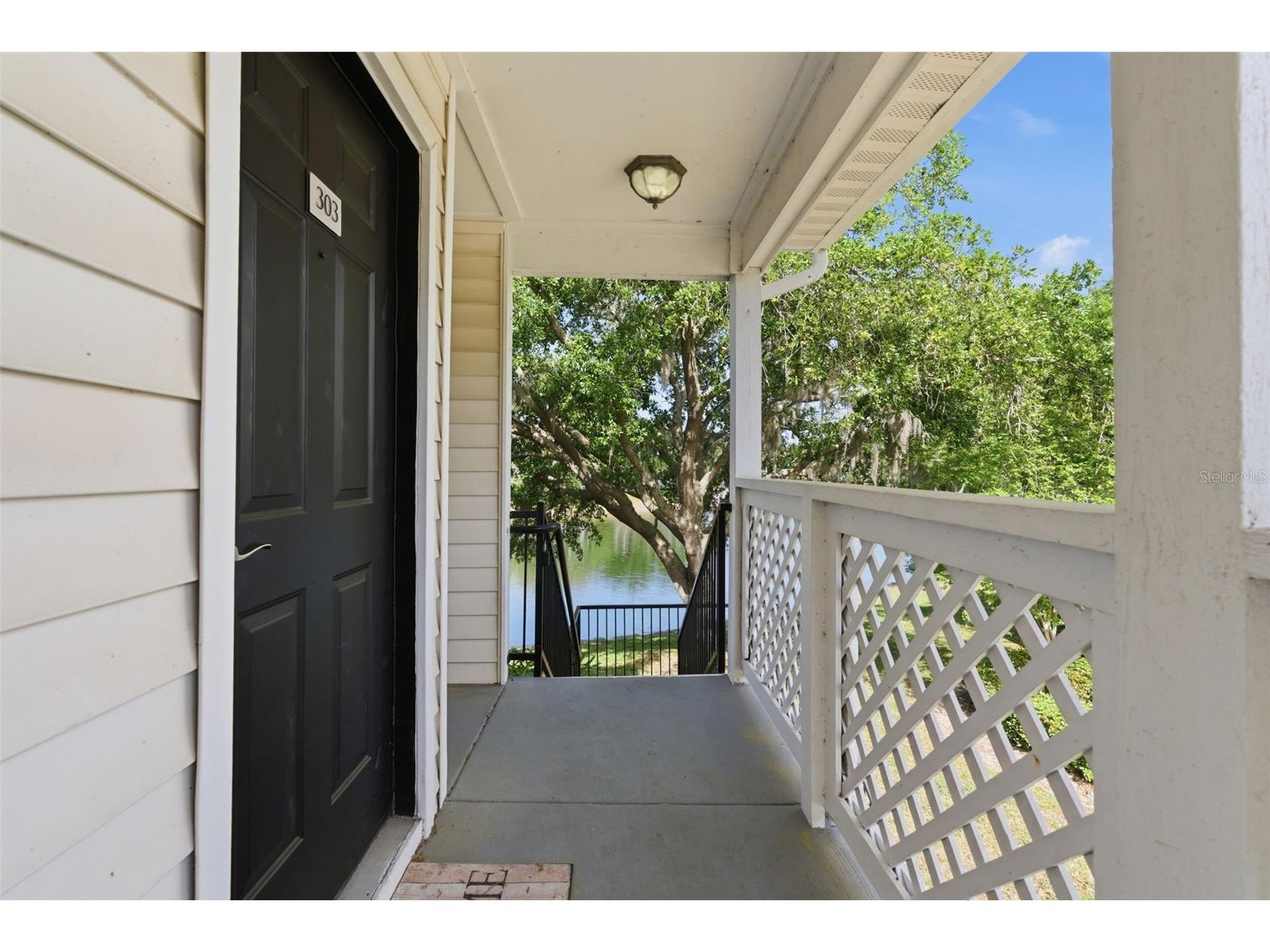3300 Haviland Court #303 Palm Harbor FL 34684 TB8491692 image5