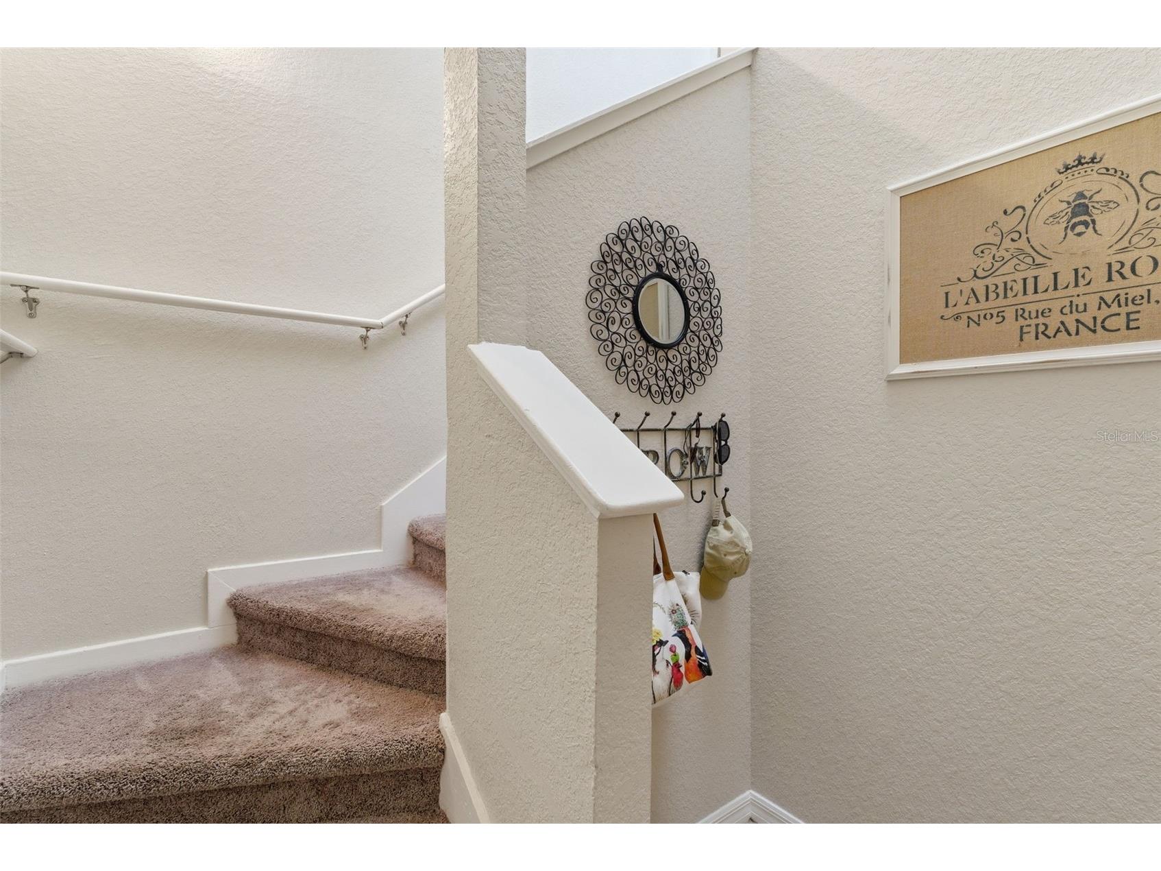 3300 Haviland Court #303 Palm Harbor FL 34684 TB8491692 image6