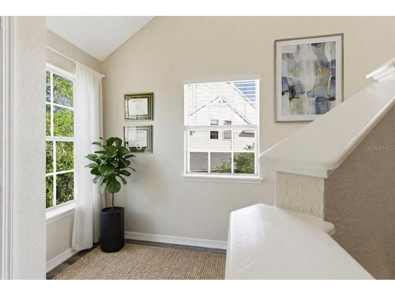 3300 Haviland Court #303 Palm Harbor FL 34684 TB8491692 image7