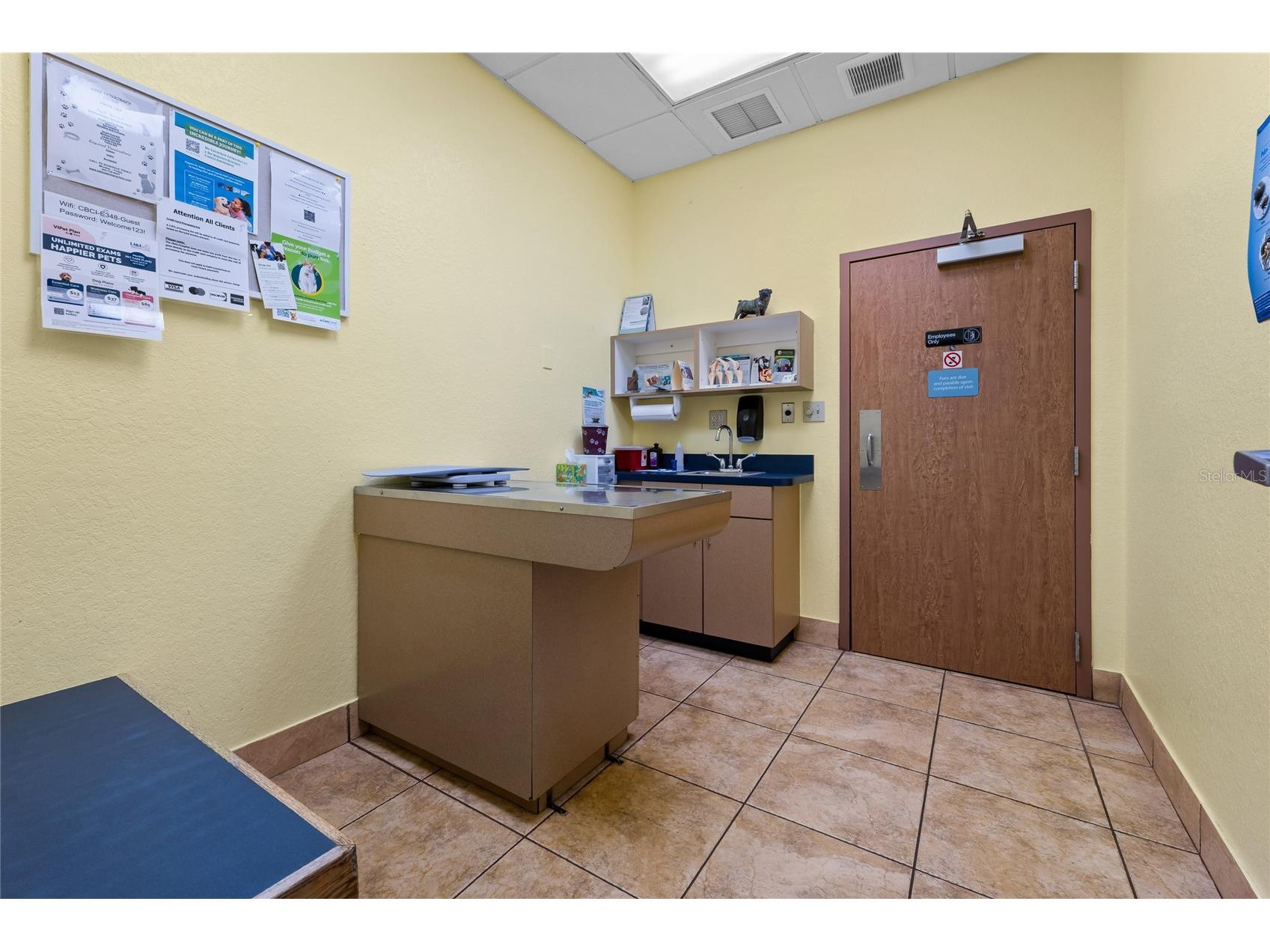 3300 N Highway 19a Mount Dora FL 32757 O6383136 image22