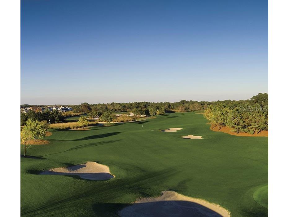 3300 Sagebrush Street Harmony FL 34773 - Buck Lake O6406594 image41
