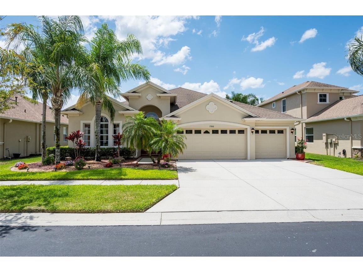 3300 Stonegate Falls Drive Land O Lakes FL 34638 TB8382607 image1