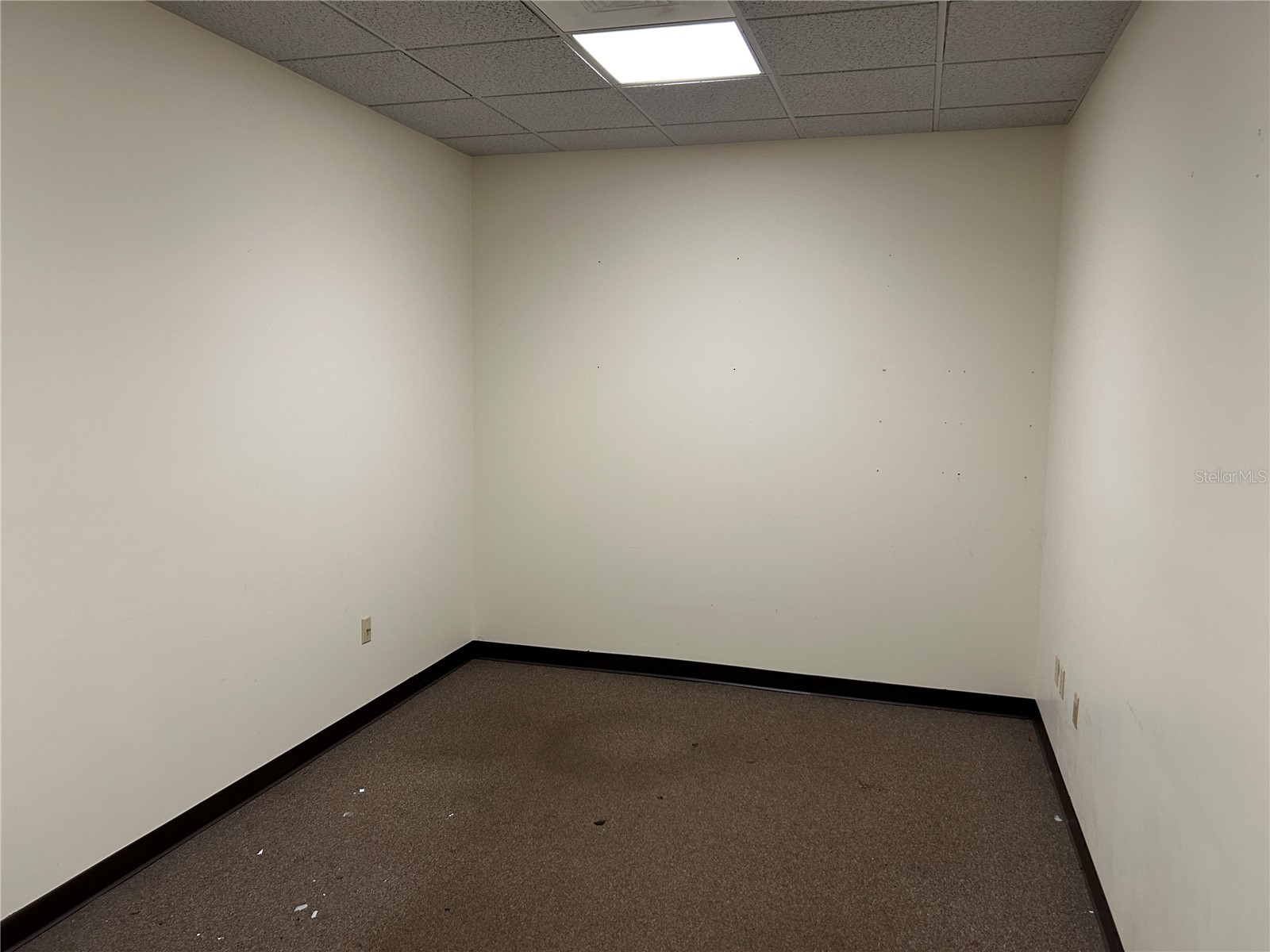 3300 SW 34th Avenue #124A Ocala FL 34474 OM719794 image3