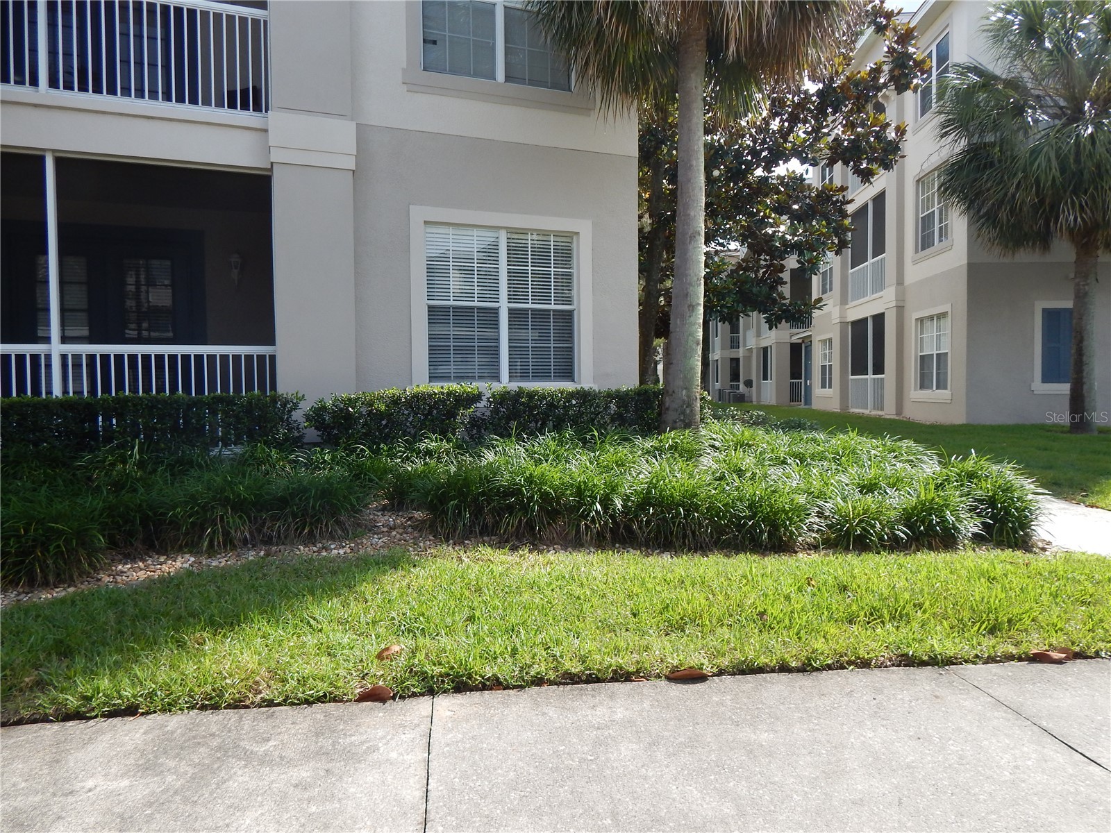 3300 Whitestone Circle #107 Kissimmee FL 34741 S5150237 image47