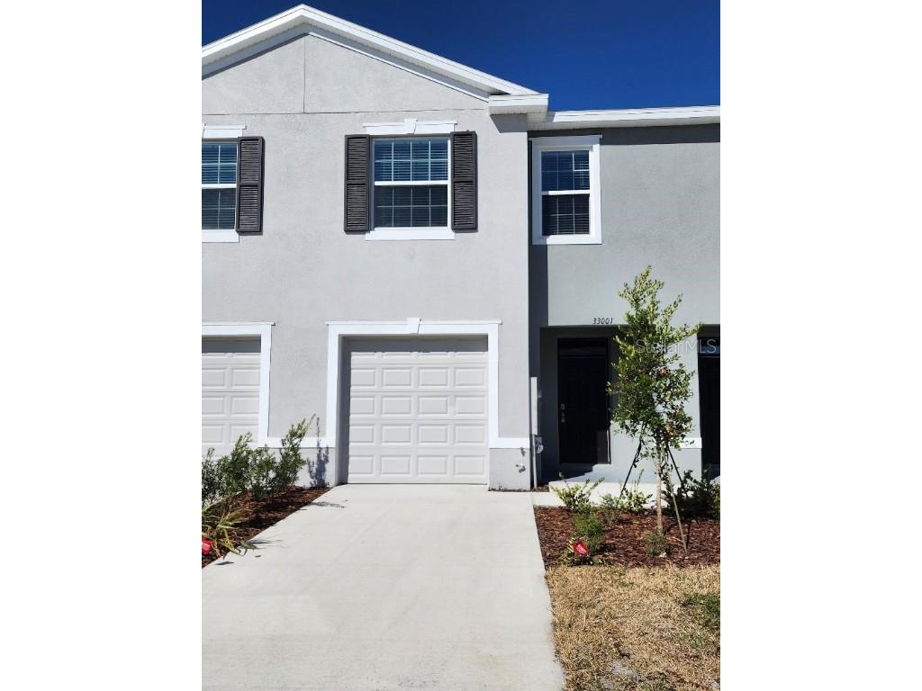 33001 Tulip Petal Lane Wesley Chapel FL 33545 T3501299 image1