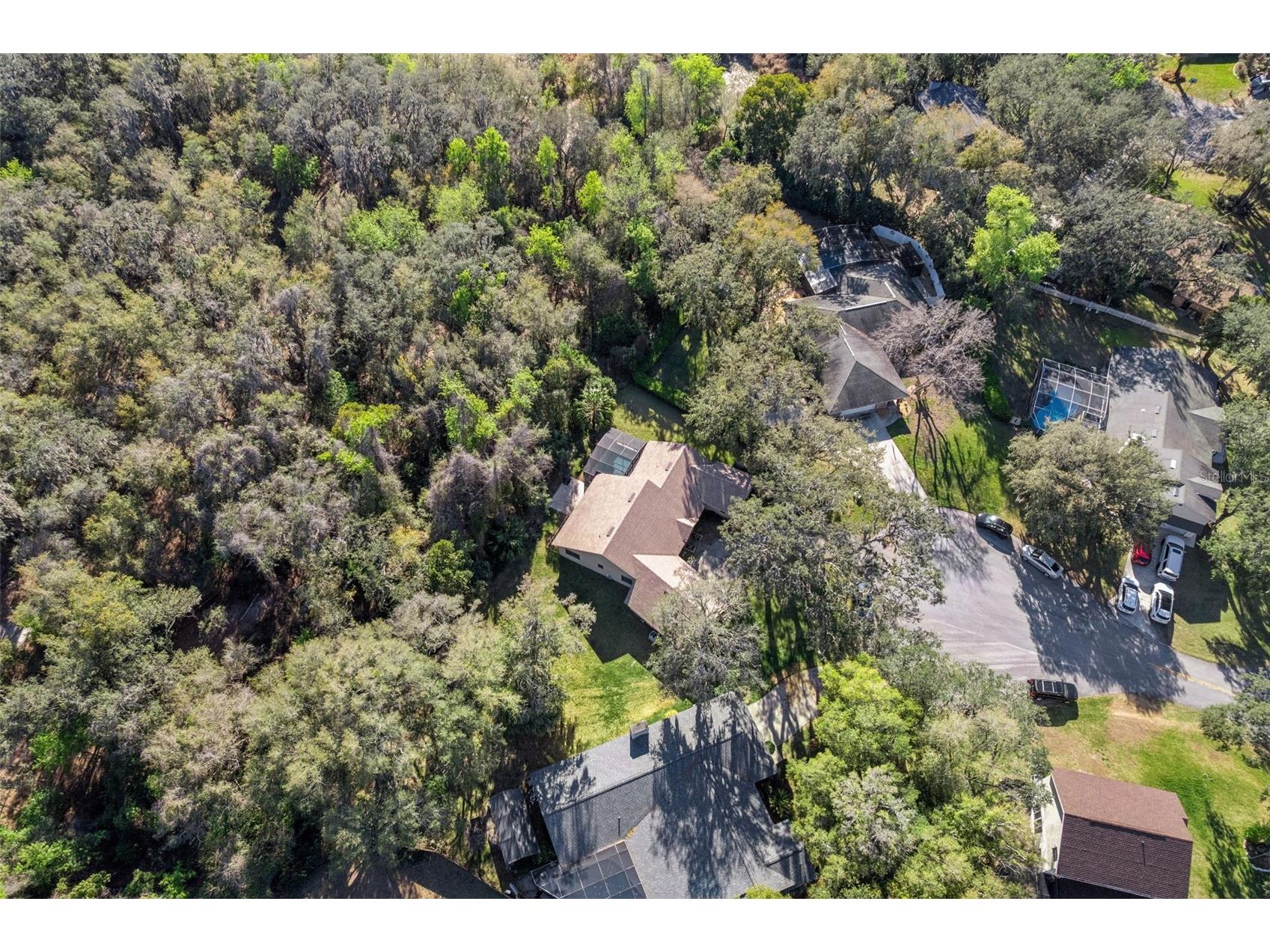 33004 Joel Court Leesburg FL 34788 G5108495 image39
