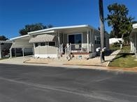 3301 Alt 19 #112 Dunedin FL 34698 TB8402176 image1