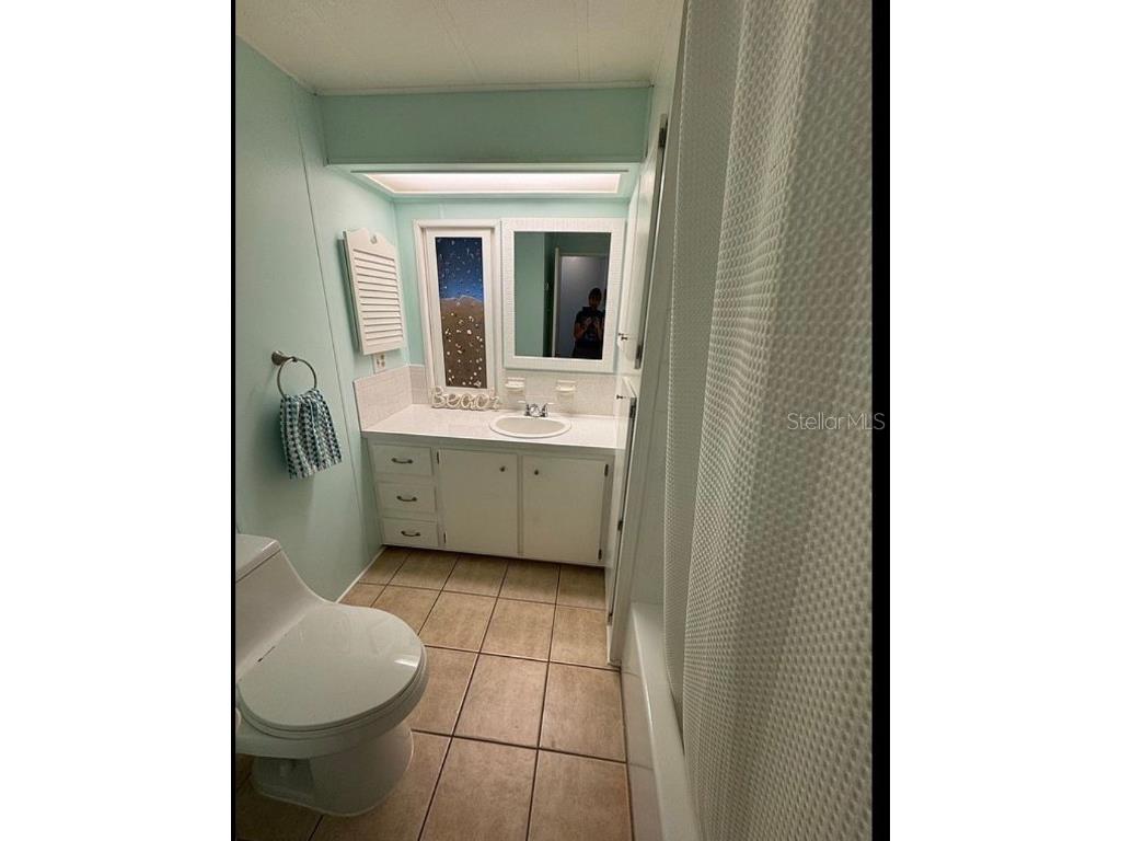 3301 Alt 19 #162 Dunedin FL 34698 TB8458683 image16