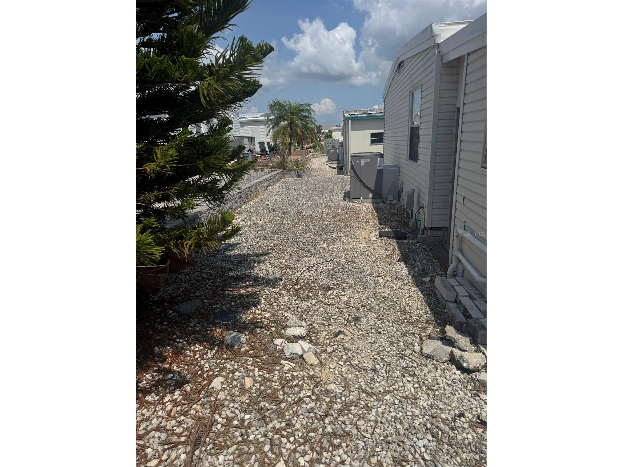 3301 Alt 19 #254 Dunedin FL 34698 TB8476944 image16