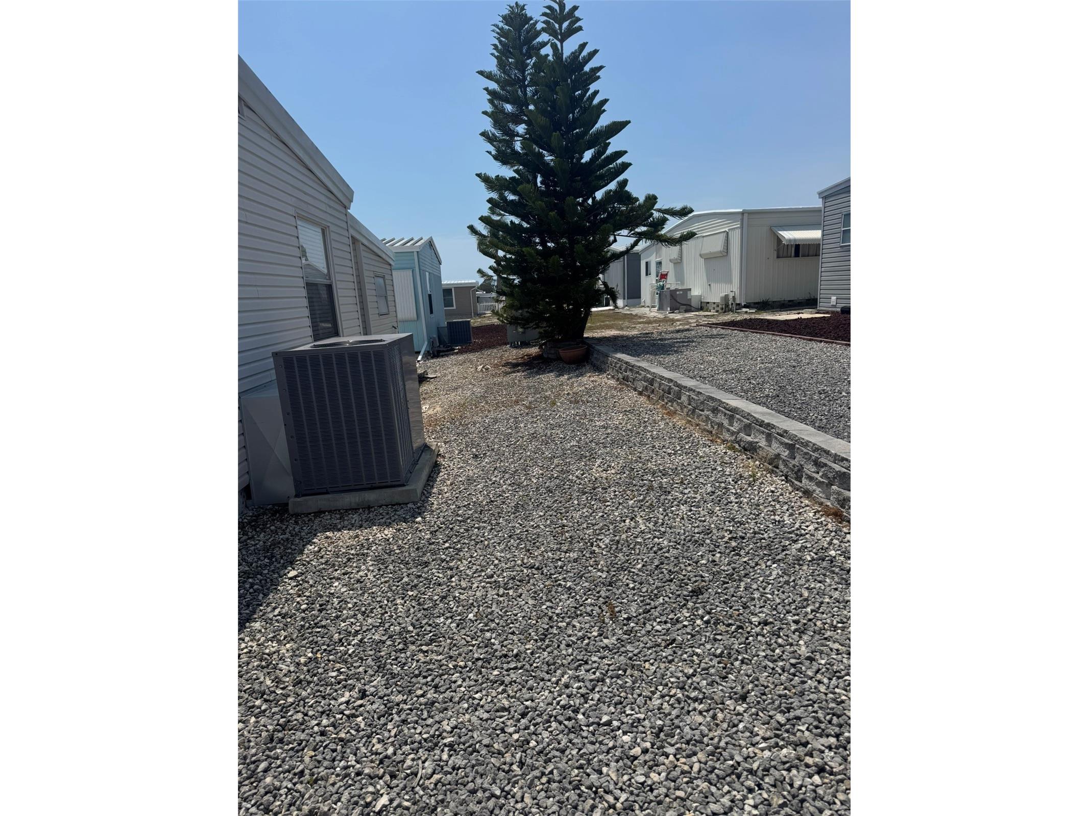 3301 Alt 19 #254 Dunedin FL 34698 TB8476944 image17
